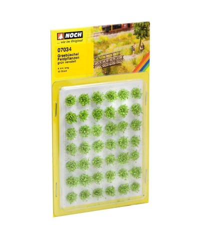 Set de 42 Mechones de Plantas de Campo