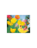 Puzzle 1000 piezas Compañeras de Juegos