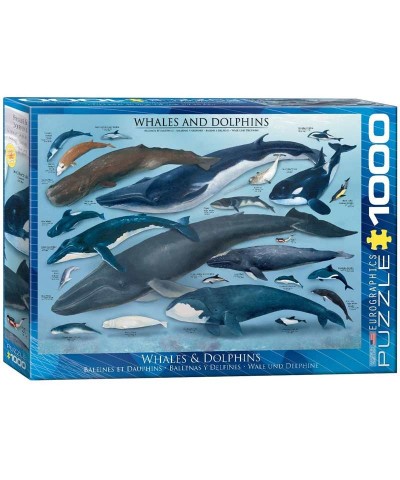 Puzzle 1000 Piezas Tipos de Ballenas y Delfines