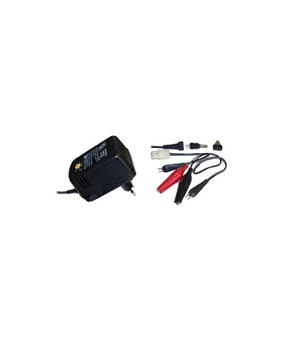 Cargador Baterias Ni-Cd o Ni-Mh de 1.2-12V 50-300mAh Regulable