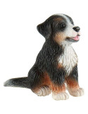 Perro Boyero de Berna