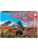 Puzzle 2000 Piezas Castillo de Osaka