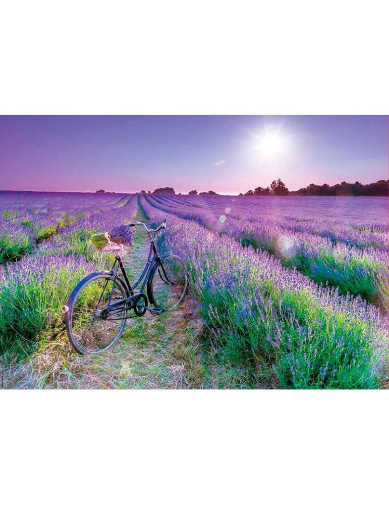Puzzle 1000 Piezas Bicicleta en Campo de Lavanda