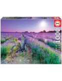 Puzzle 1000 Piezas Bicicleta en Campo de Lavanda