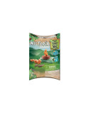 Playmobil 71065. Wiltopia - Ardilla