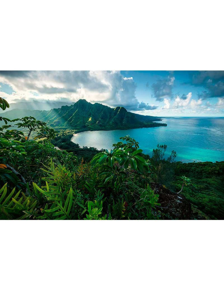 Ravensburger 16106. Puzzle 5000 Piezas Paisaje Hawaiano