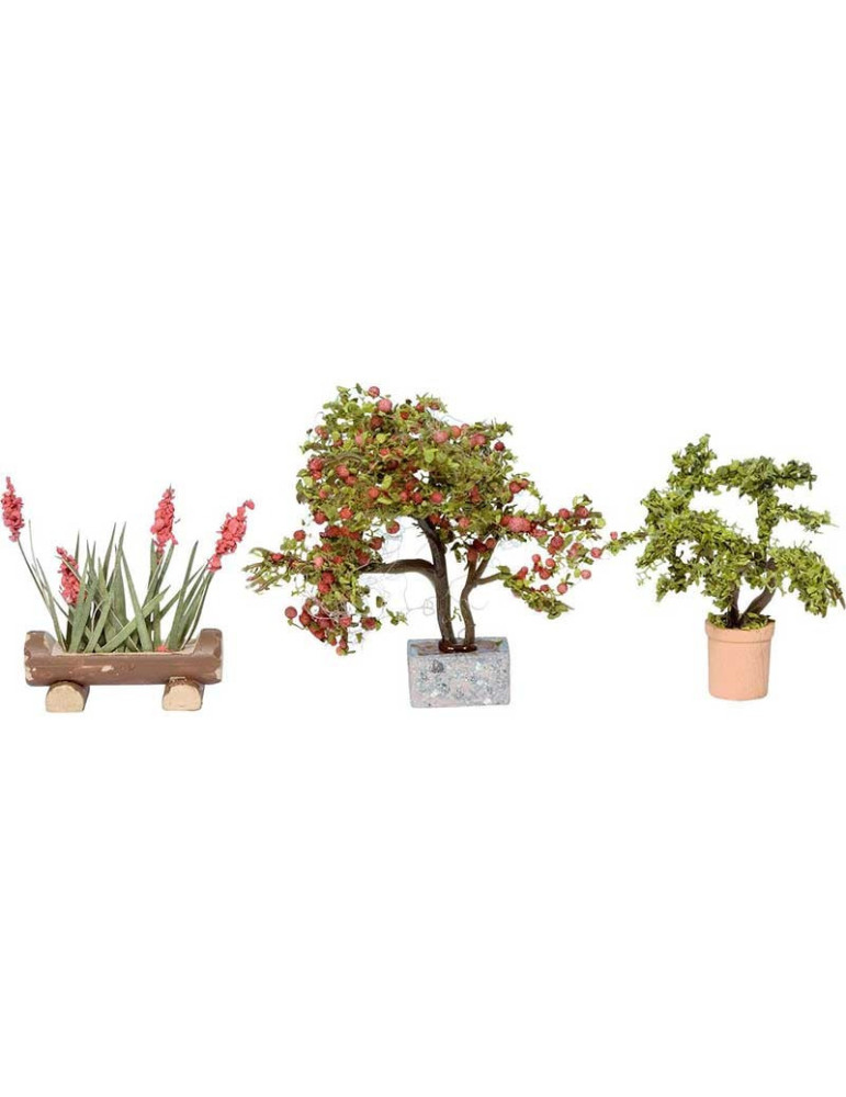 3 Plantas Decorativas H0