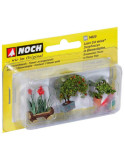 3 Plantas Decorativas H0