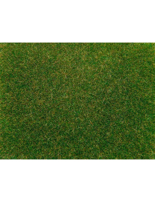 Hierbas Verde Medio 4mm 20g