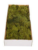 Musgo natural preservado Finlandes. 370 gramos (verde natural)