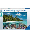 Ravensburger 17441. Puzzle 2000 Piezas. Buceo en Las Maldivas