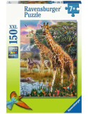 Ravensburger 12943. Puzzle 150 Piezas XXL. Jirafas en Africa