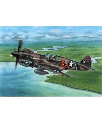 Special Hobby 72338. 1/72 P-40E Warhawk Claws And Teeth