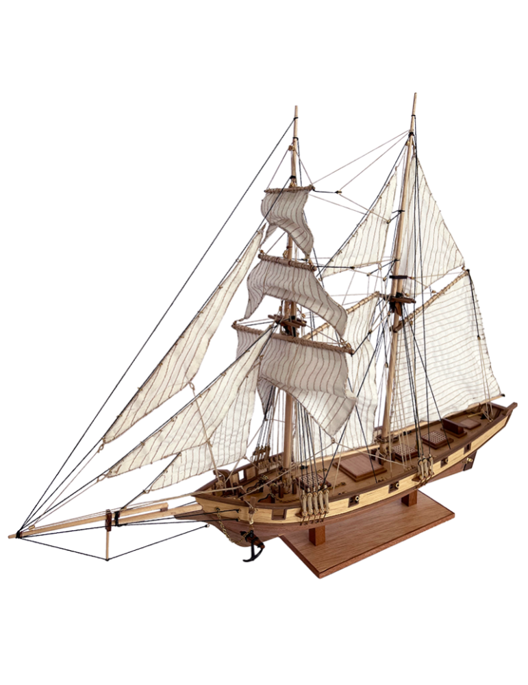 Everships 498102. Maqueta de barco en madera. Albatros. Escala 1/55