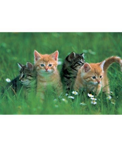 16095. Puzzle Trefl 100 piezas, Four Kittens "Cuatro gatitos"