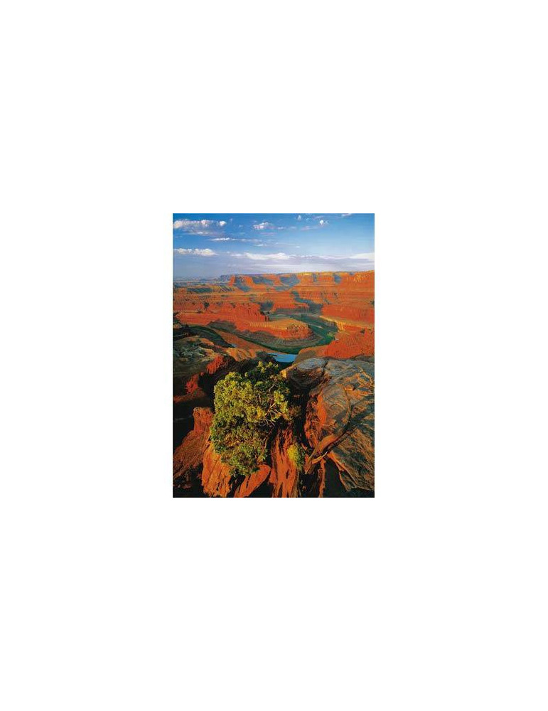 10143. Puzzle Trefl 1000 piezas Dead Horse "Utah, EEUU"
