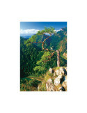 10131. Puzzle Trefl 1000 piezas Sokolica, Polonia
