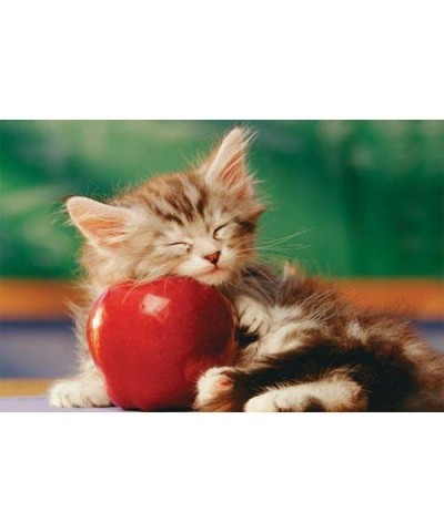 17080. Puzzle Trefl 60 piezas Sleeping Kitten with Apple