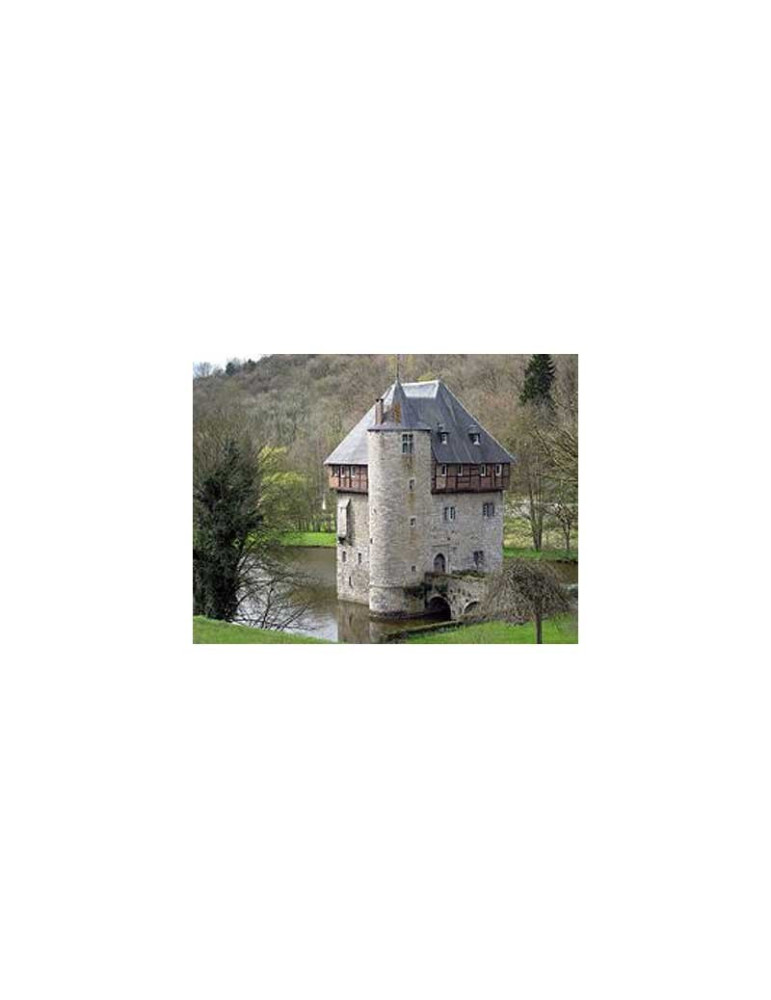 Aedes 1053. Castillo de Crupet