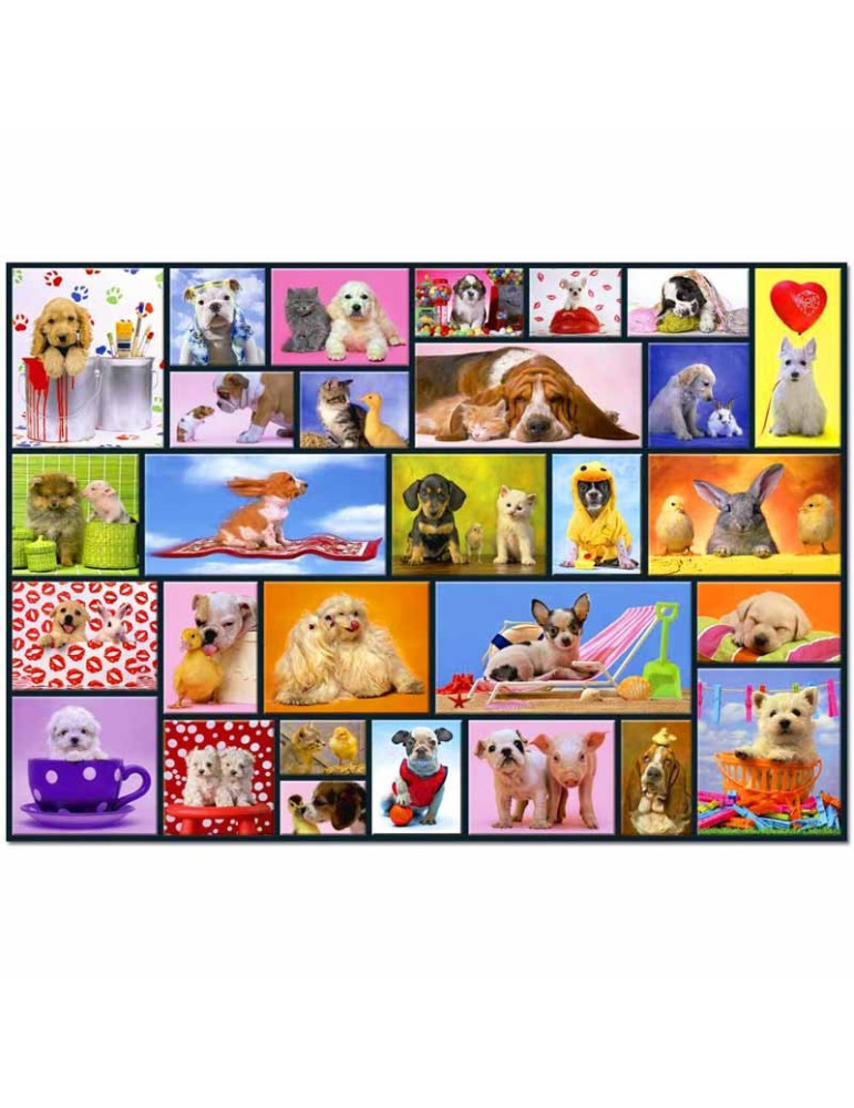 Educa 15518. Puzzle 1000 Piezas Momentos Compartidos
