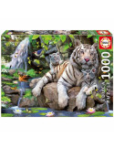 Educa 14808. Puzzle 1000 Piezas Tigres de Bengala