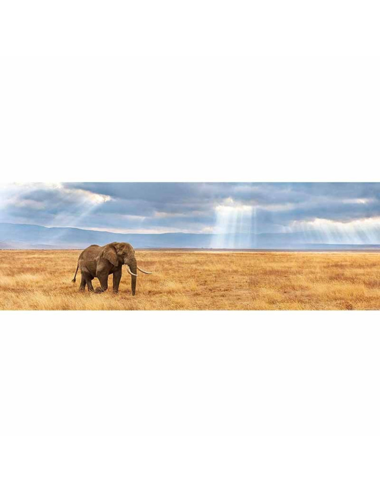 Clementoni 39484. Puzzle 1000 Piezas Perdido Panorama