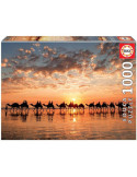 Puzzle 1000 piezas Atardecer en Cable Beach