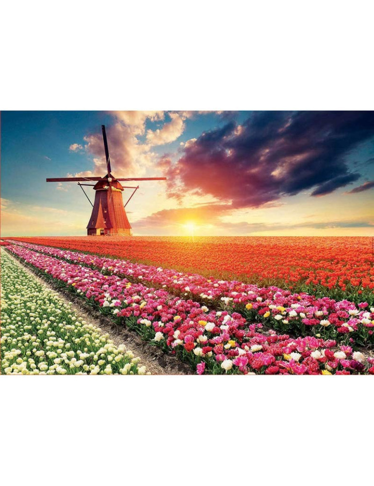 Puzzle 1500 piezas Paisaje de Tulipanes