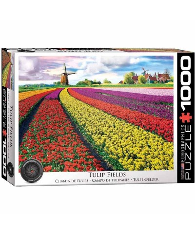 Puzzle 1000 piezas Campo de Tulipanes