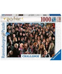 Puzzle 1000 Piezas Harry Potter Challenge