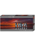 Puzzle 1000 Piezas Pingüinos Rey Panorama
