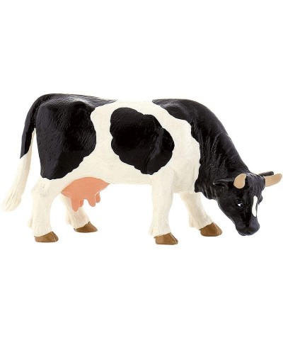 Vaca Pastando blanca/negra