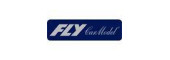 Fly CarModel